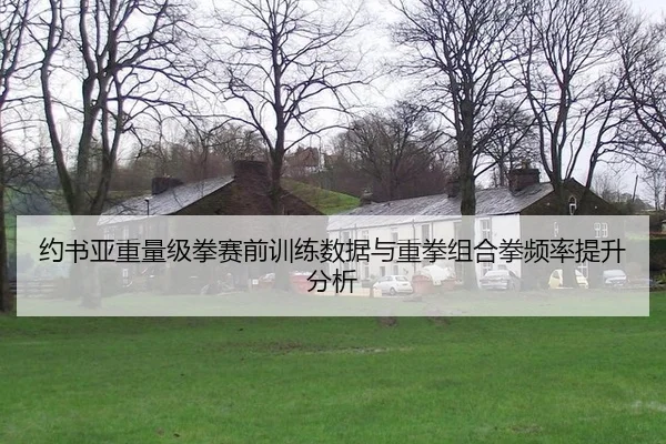 yue-shu-ya-zhong-liang-ji-quan-sai-qian-xun-lian-shu-ju-yu-zhong-quan-zu-he-quan-pin-lv-ti-sheng-fen-xi-2-332.jpg